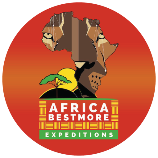 Africa Bestmore Expeditions